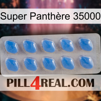 Super Panthère 35000 22